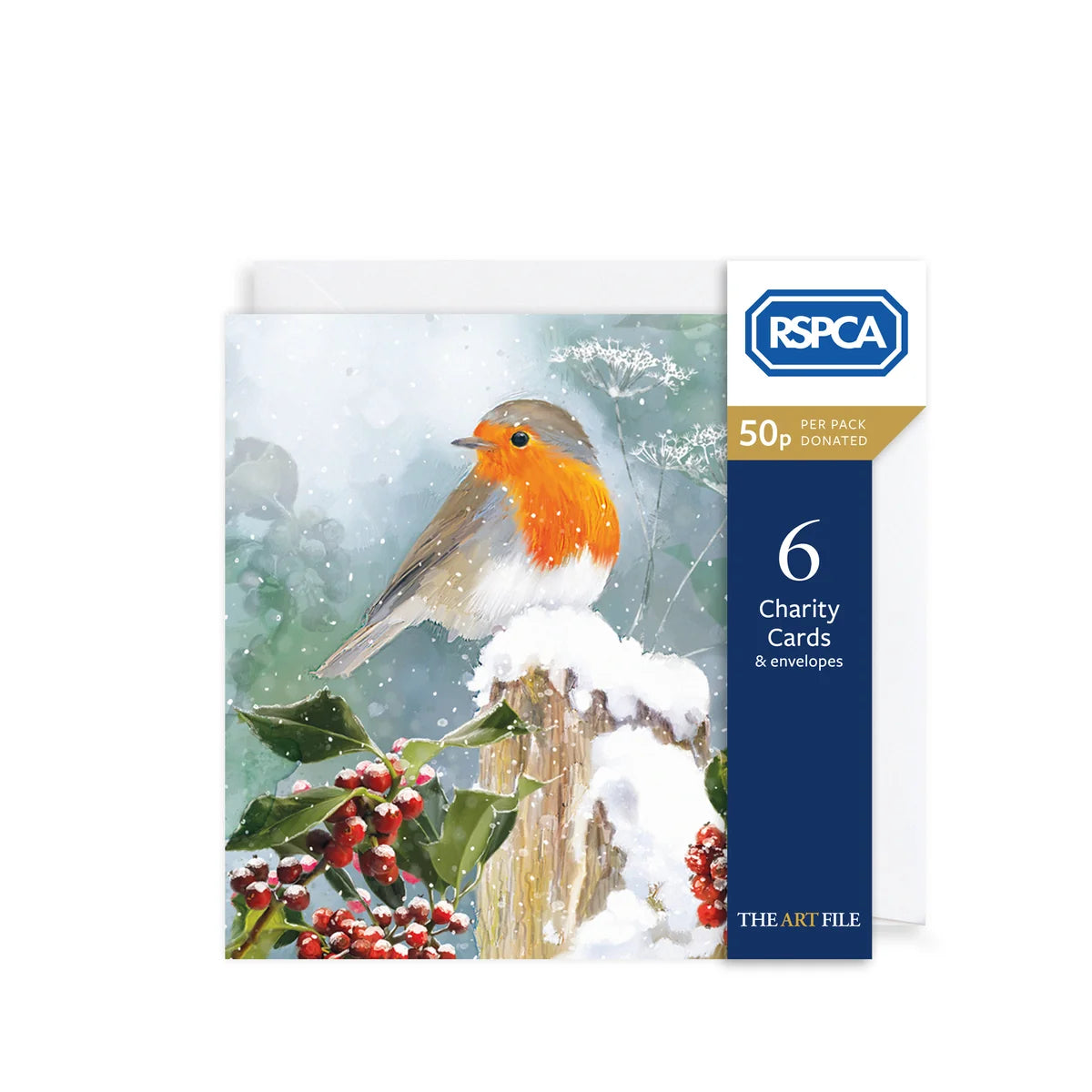 Charity Christmas Card Pack - Robin & Holly Berries