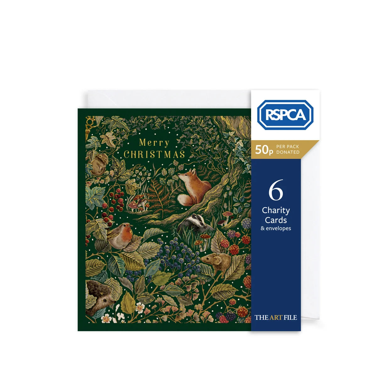 Charity Christmas Card Pack - Secret Garden