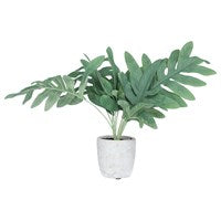 Faux Blue Star Fern Plant in Pit