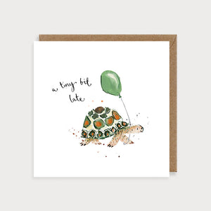 Tiny Bit Late - Tortoise