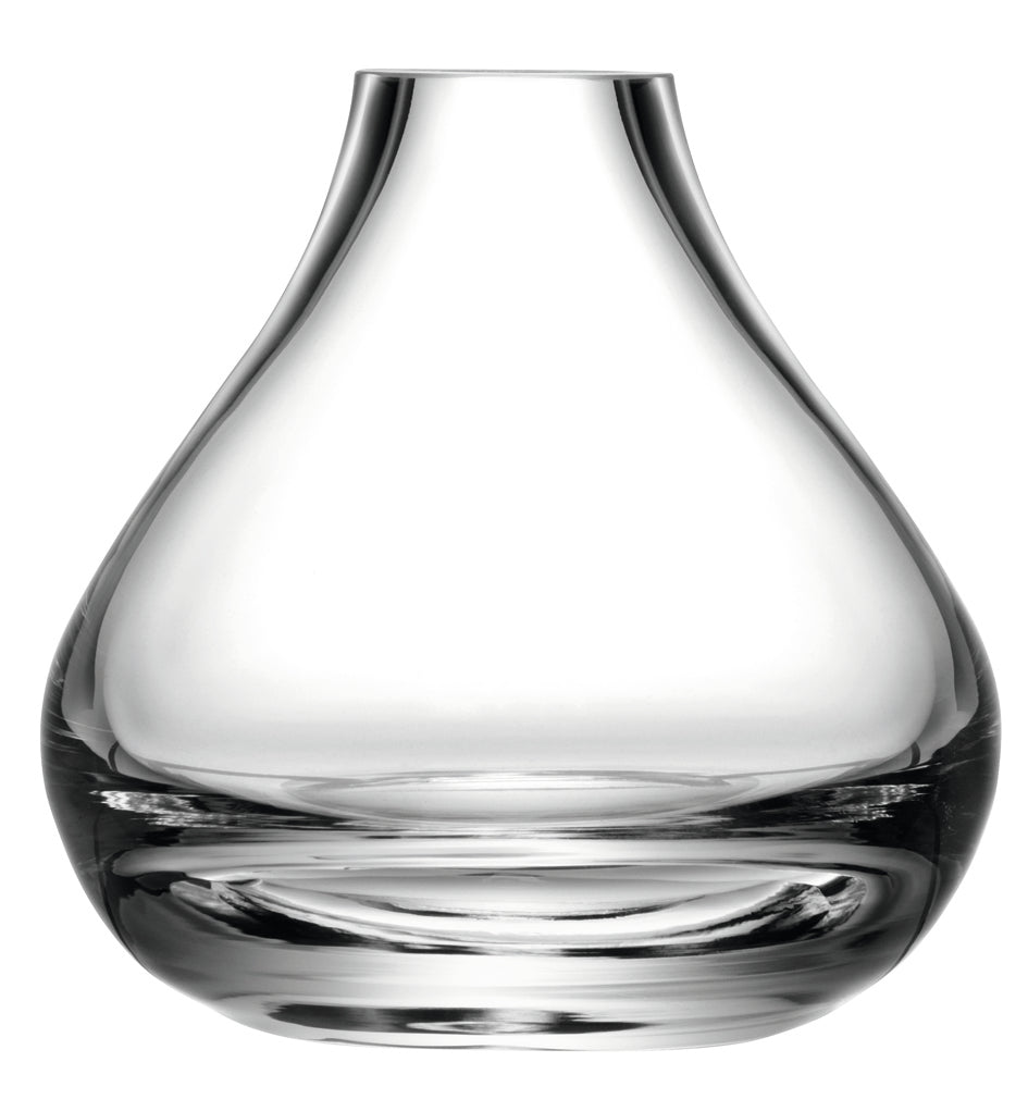 cadeauxwells - Flower Sprig Vase Clear - LSA - Glassware