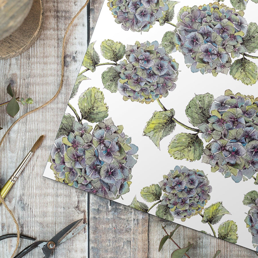 Hydrangea Pure Gift Wrap