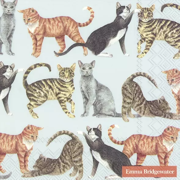Lunch Napkins - Emma Bridgewater Cats