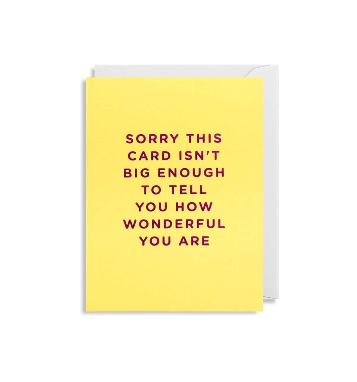Sorry This Card Isn’t Big Enough To Tell You How Wonderful You are