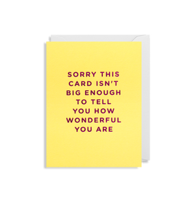 Sorry This Card Isn’t Big Enough To Tell You How Wonderful You are