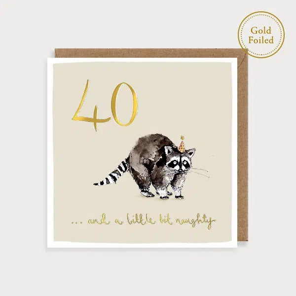 Raccoon - 40