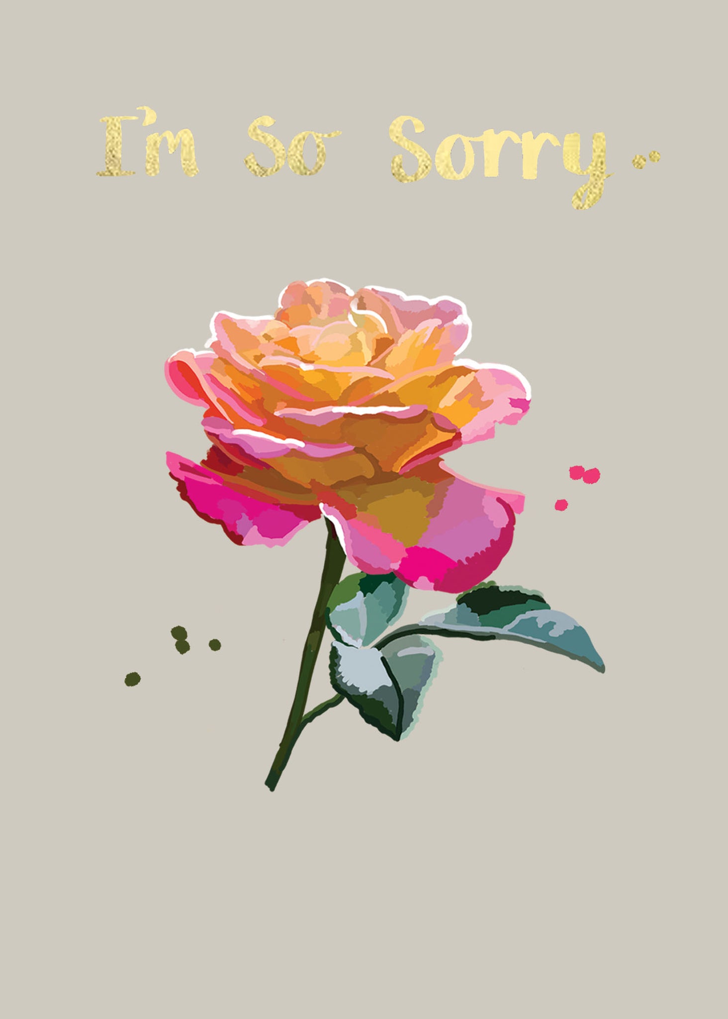 I’m So Sorry