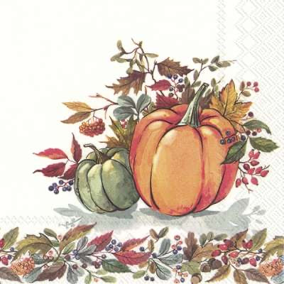 Lunch Napkins – Fall Pumpkins