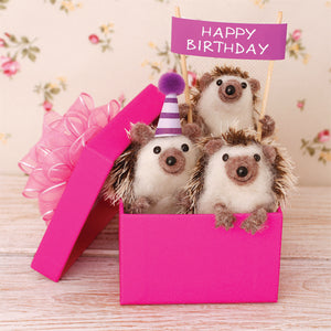 Happy Birthday (Hedgehogs)