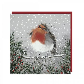 Christmas Pudding- Pack of 6 Christmas Cards