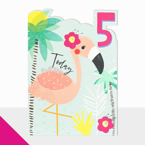 5 Today - Flamingo