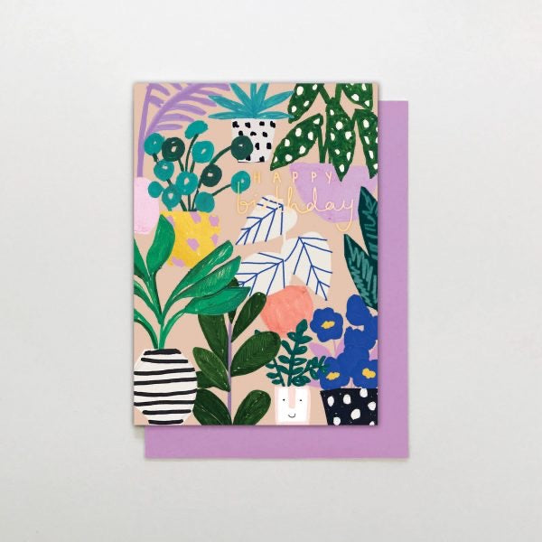 Birthday House Plants