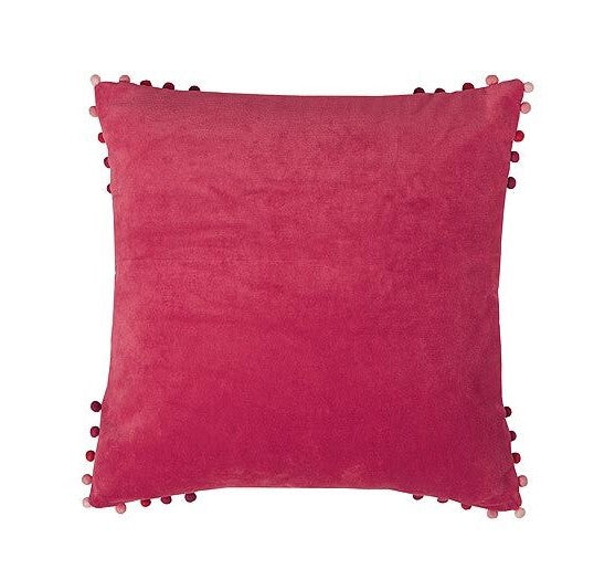 Velvet Cushion