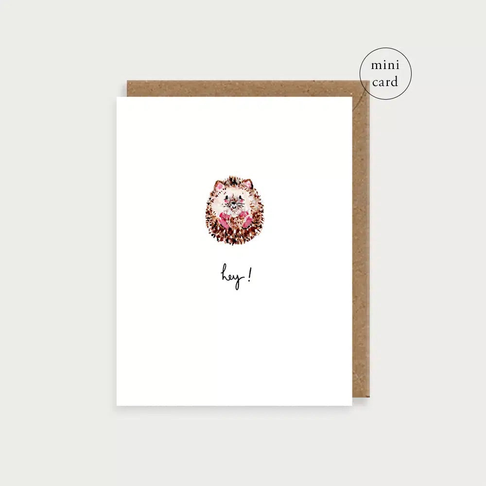 Hedgehog Hey!