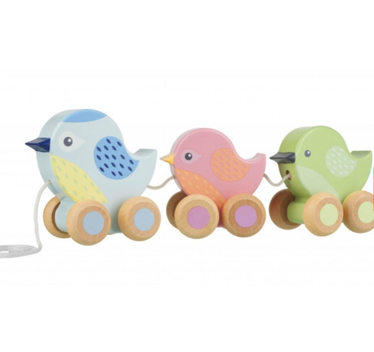 Pull Along Birdies