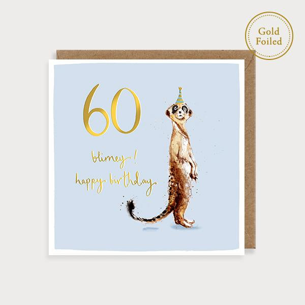 Meerkat - 60