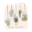 New Home - Hanging Baskets