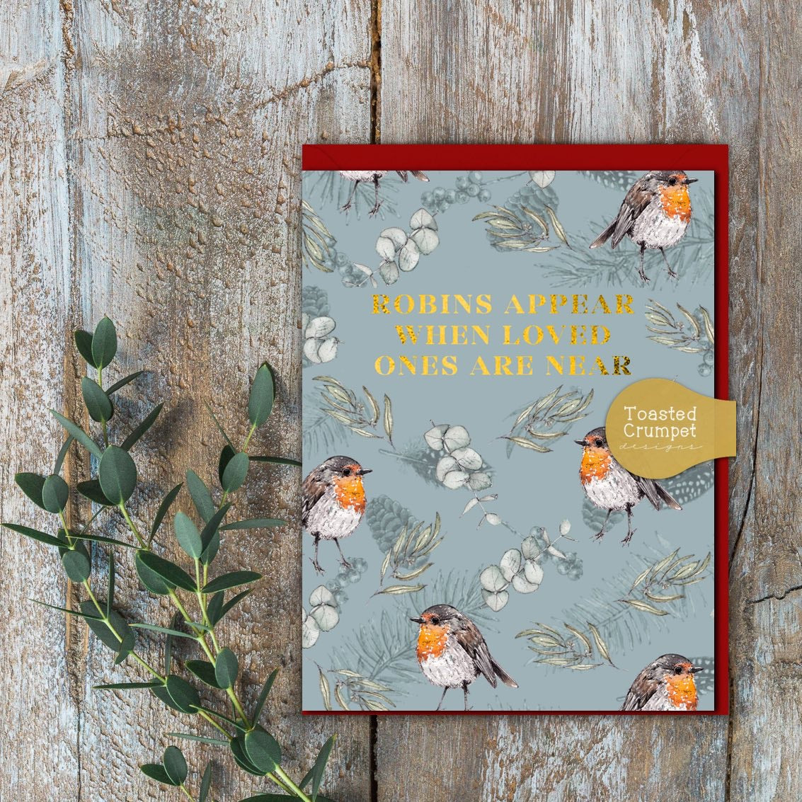 Robins Appear When Loved Ones Are Near