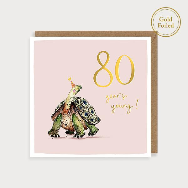 Tortoise - 80