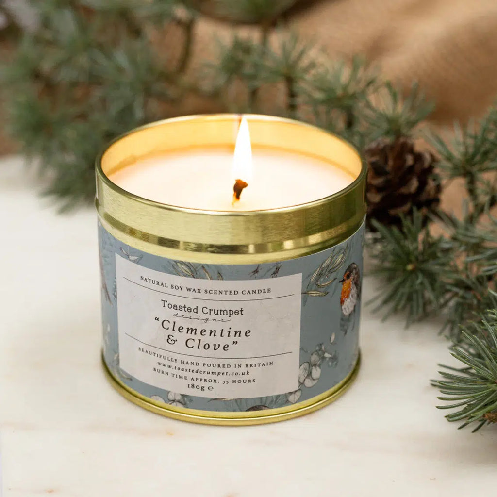 Clementine & Clove (Robin & Eucalyptus Blue) Candle in Matt Gold Tin