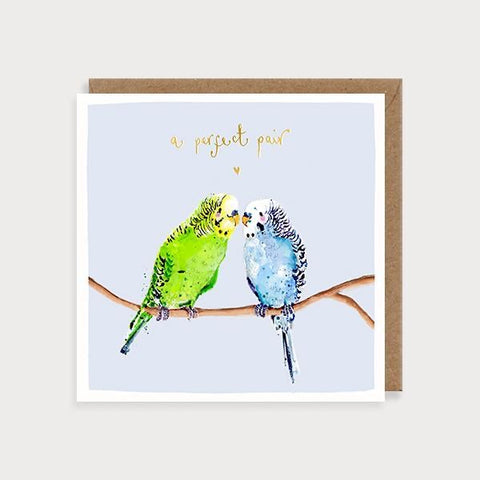 A Perfect Pair - Budgies