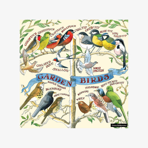 Lunch Napkins - Emma Bridgewater Garden Birds