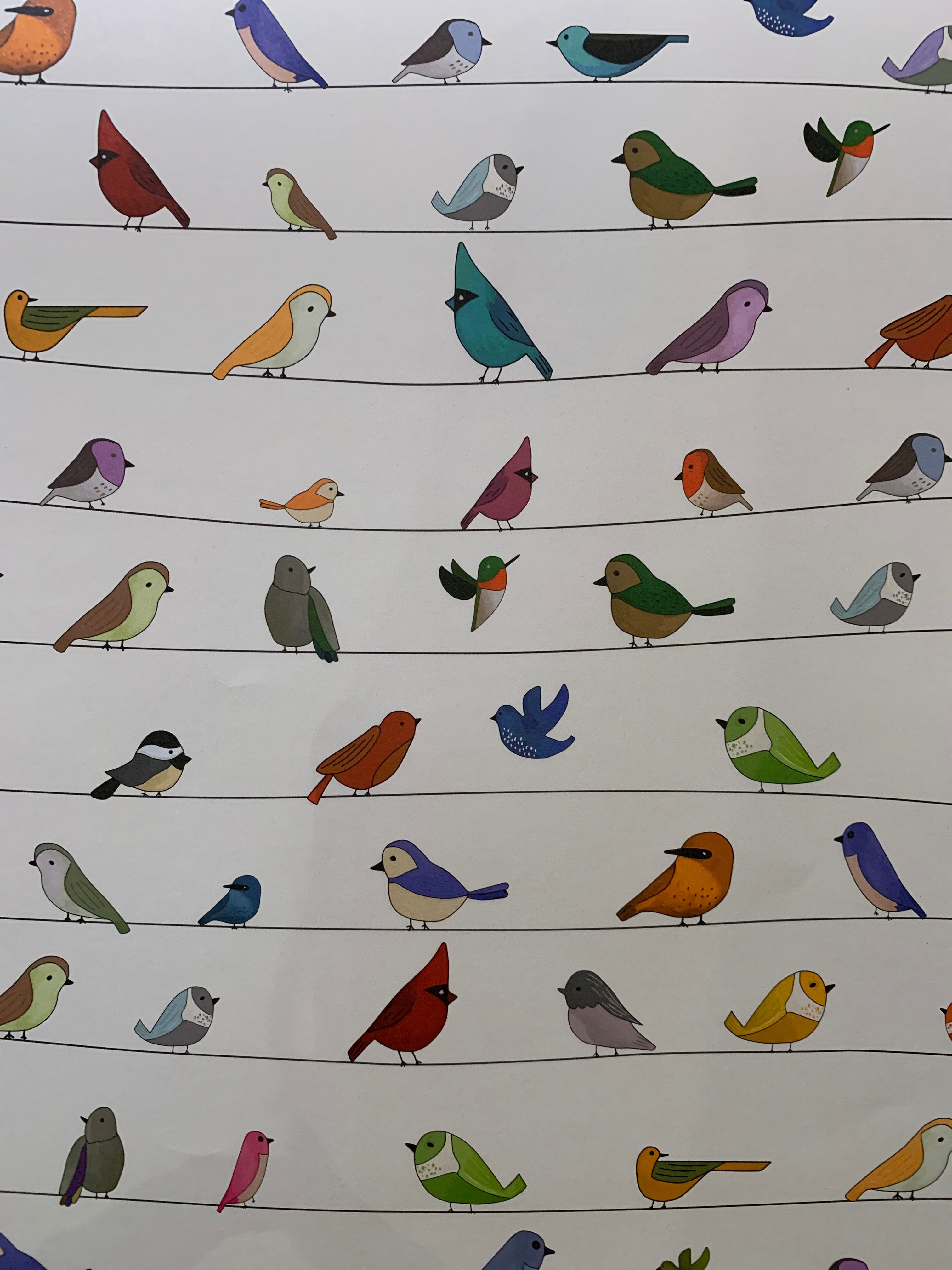 Gift Wrap - Birds