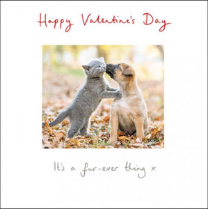 Happy Valentine’s Day - It’s a Fur-ever Thing