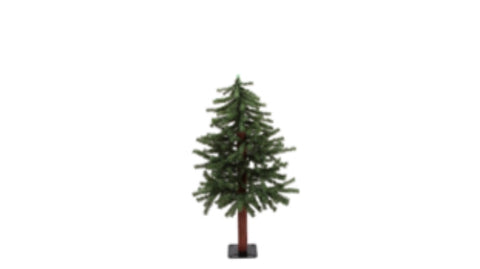 Tall Fir Pine Tree/Log Trunk