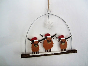 Highland Coos in Hats