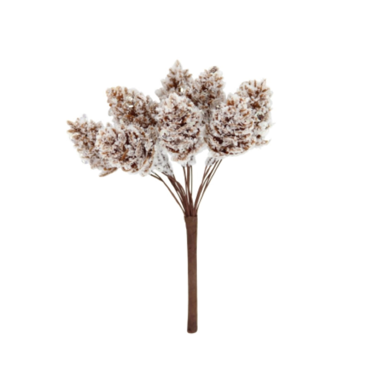 Natural Snowy Acorn Pick Bunch