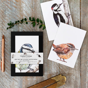 ‘British Birds’ - Boxed Set of 8 Notecards