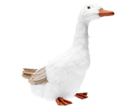White Bristle Goose