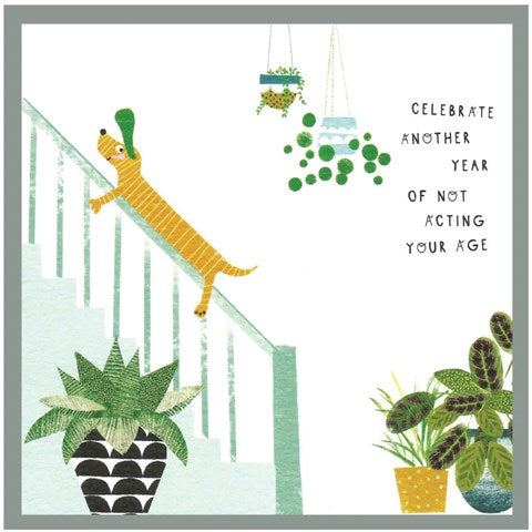 Celebrate Another Year Of Not Acting Your Age
